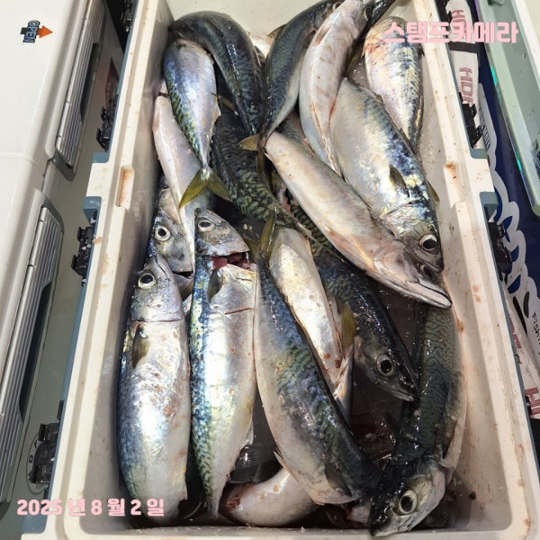 KakaoTalk_20250802_135732285.jpg