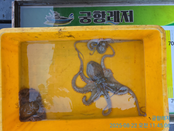 궁항레저_사진_20250822_4.jpg