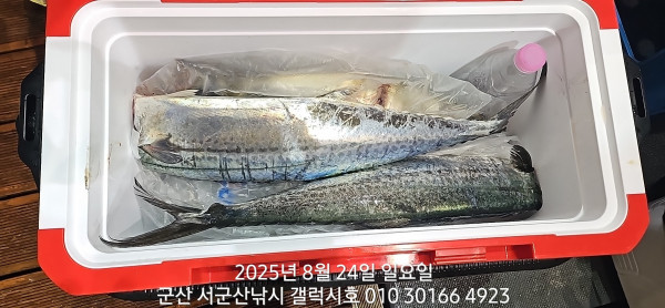 KakaoTalk_20250824_085534093_14.jpg