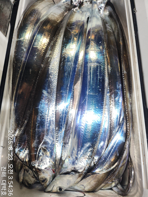 KakaoTalk_20250823_192442687_19.jpg