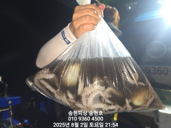 fabbc77e03e390d4ad34cf62e9a7c1ac.jpg