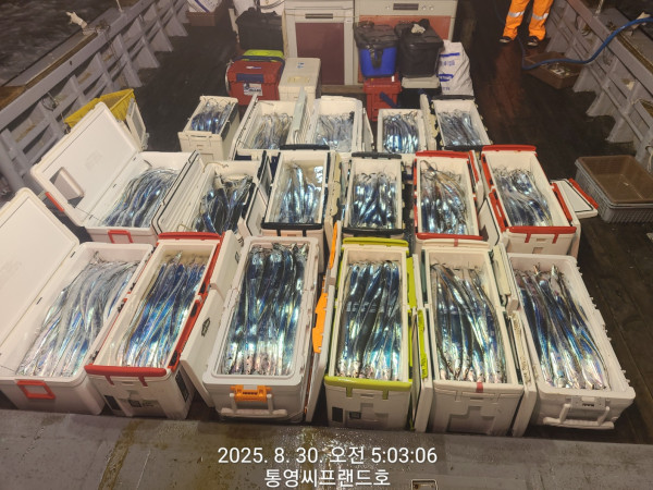 1756505151019.jpg