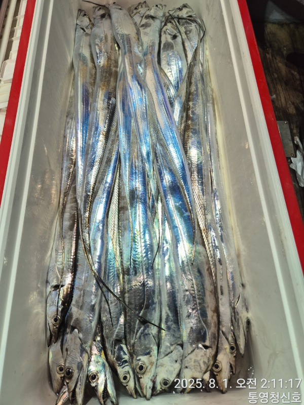 바다의 전설 부평25_사진_20250801_16.jpg