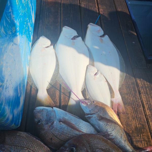 마검포 대한호(VIP)_사진_20250824_2.jpg