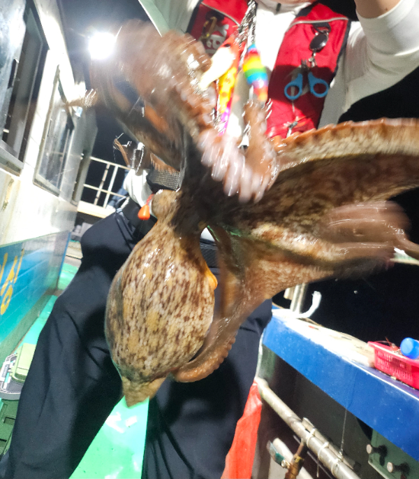 KakaoTalk_20250822_104443689_09.jpg