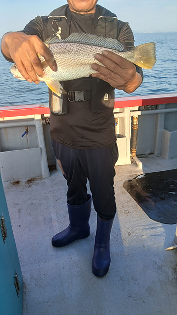 인천쭈꾸미낚시 (1).jpg