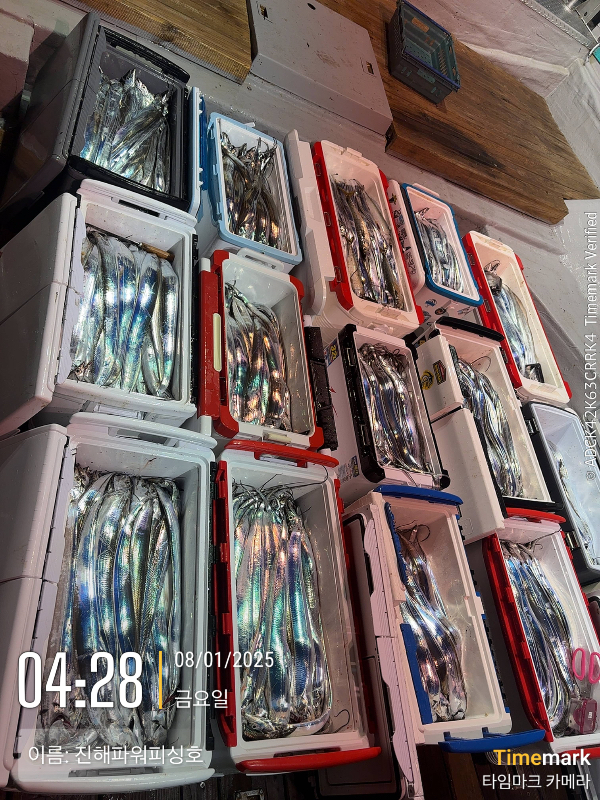 2025-08-01 04.28.11_(이름-진해파워피싱호).jpeg