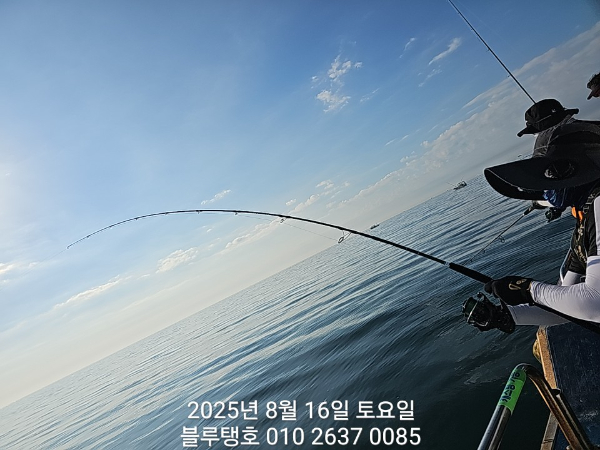 20250816_074842.jpg