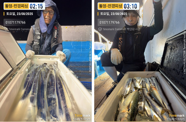 이미지.jpeg