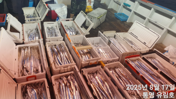 fd5bed756828bec2379218fa086ad2ba.jpg