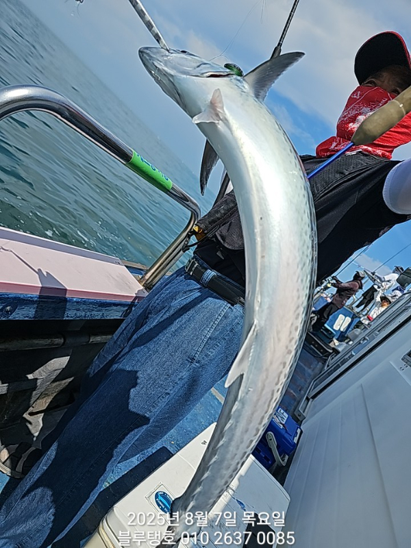 20250807_141544.jpg
