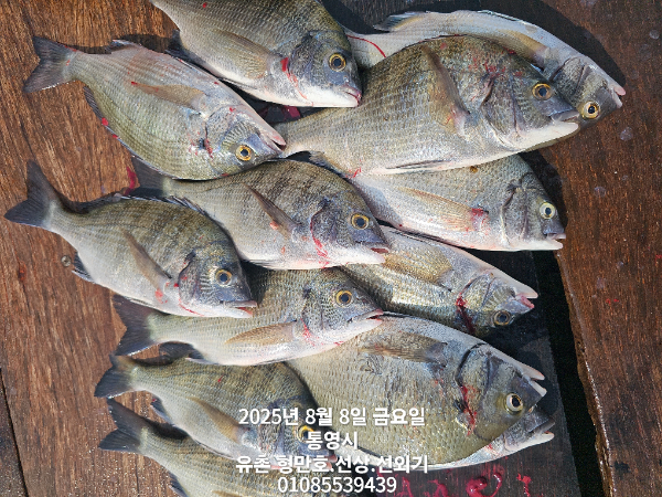 fec56ad5aebb744ffe4d9ef1aa1bdd15.jpg