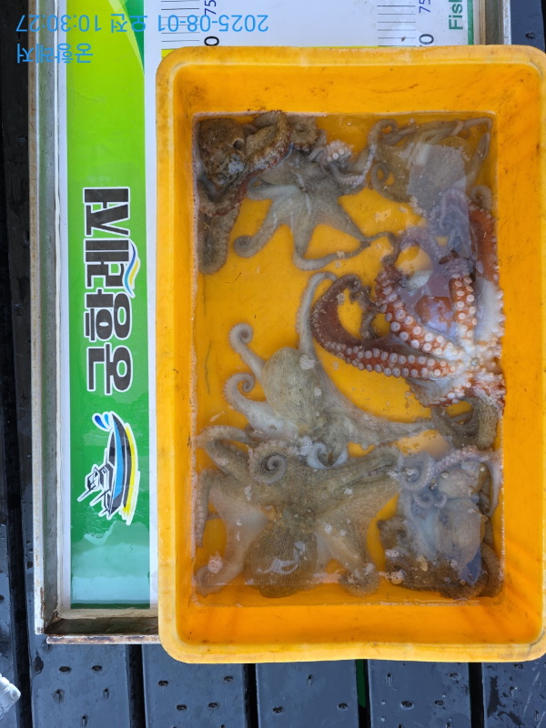 궁항레저_사진_20250801_1.jpg