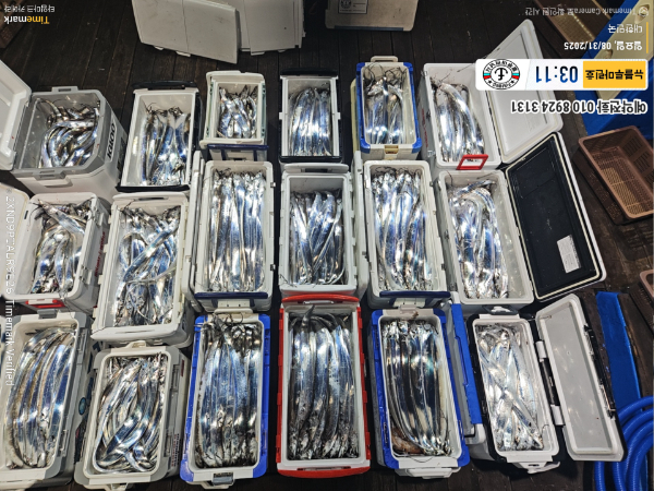 2025-08-31 03.11.48_대한민국_(제목-뉴블루마린호)_(예약전화 010 8924 3131).jpg