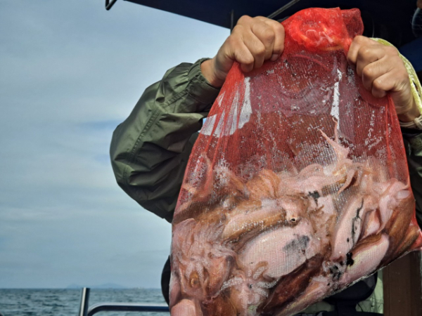 무창포 선상낚시_총각피싱__사진_20250925_4.jpg