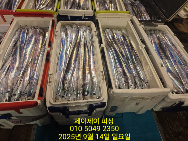 010be17b4c740a489cc5fc79ab188df8.jpg