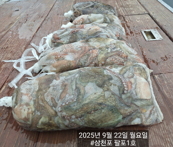 1000084208.jpg