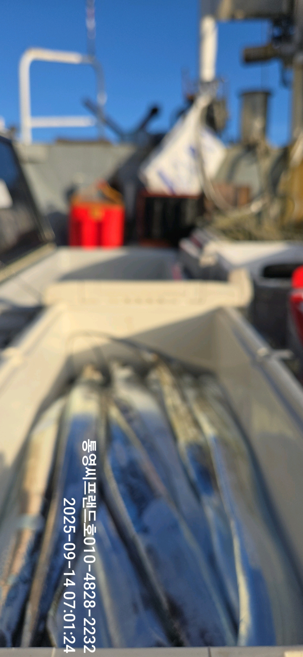 1757805972321.jpg