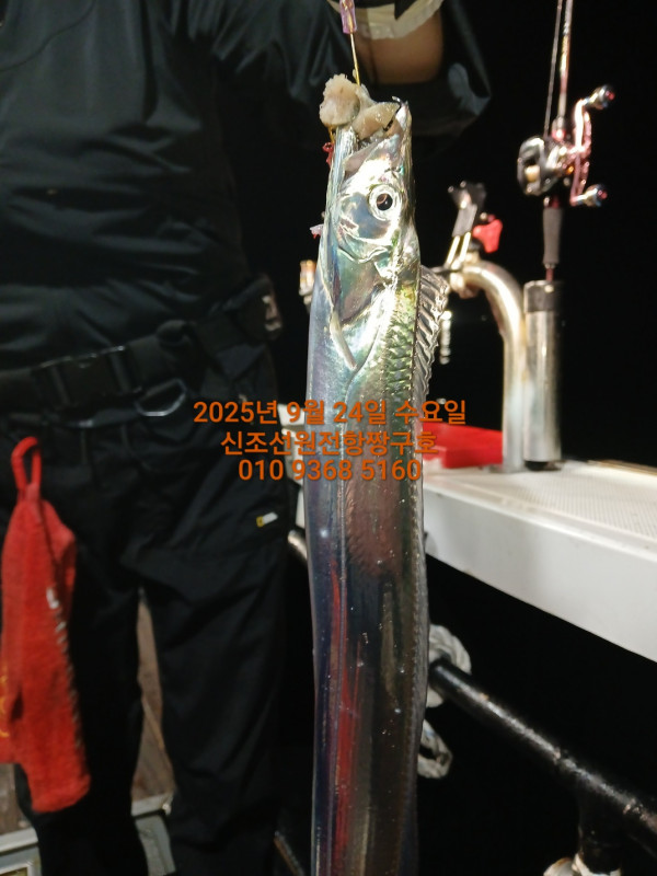 KakaoTalk_20250925_033733036_01.jpg