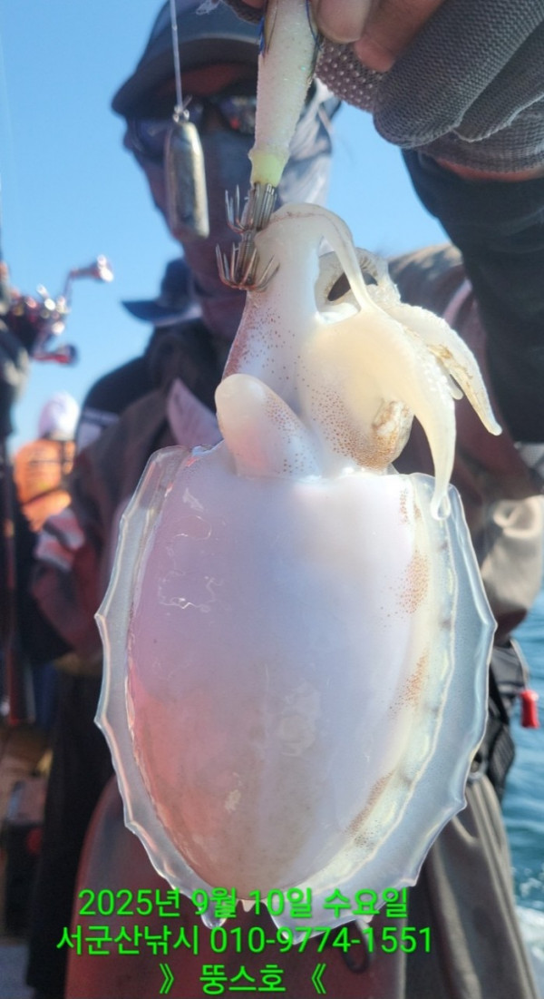 군산 선상낚시, 바다낚시 출조 전문 ☆서군산낚시☆_사진_20250910_3.jpg