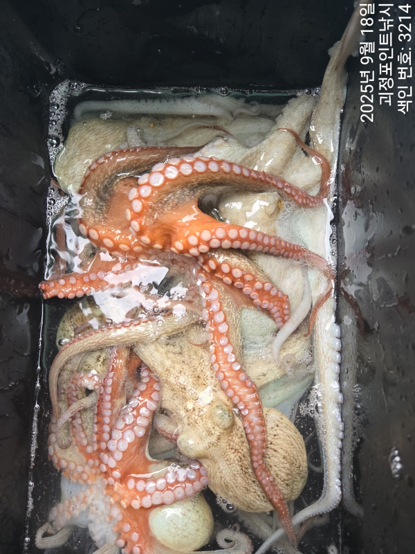 KakaoTalk_20250918_145109476_07.jpg
