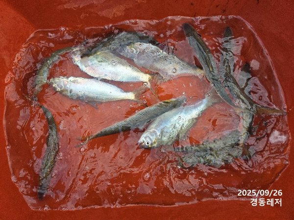 슬라이드0007.jpg