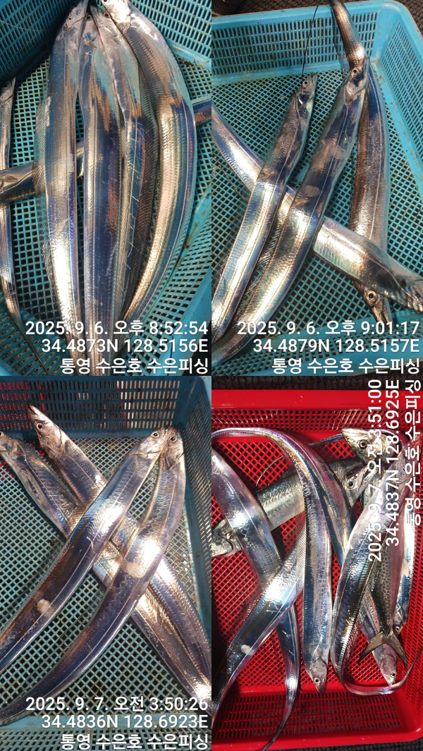 1757194053842-tile.jpg