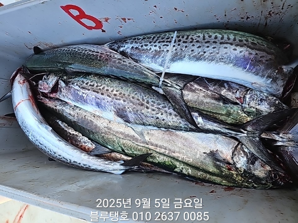20250905_094228.jpg