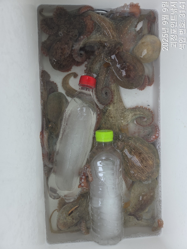 KakaoTalk_20250909_144354763_10.jpg