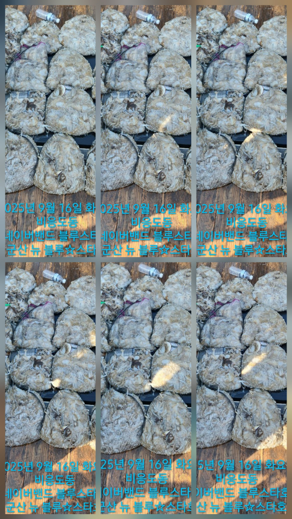 0523b16e2c6cbb972a041bf5fc99ef36.jpg