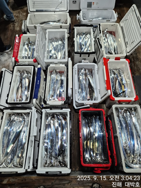 KakaoTalk_20250915_071645204_06.jpg
