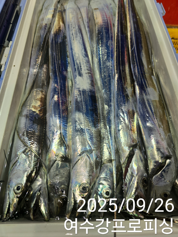 060dfacde57f5fcc69459fd00e8addb0.jpg