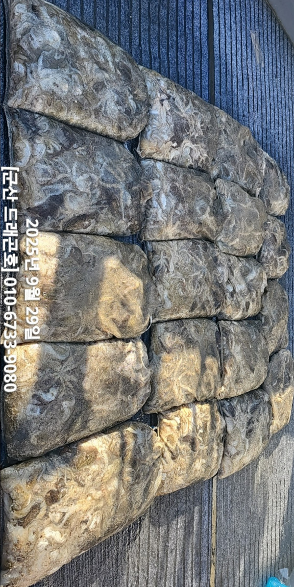 KakaoTalk_20250929_183850820.jpg