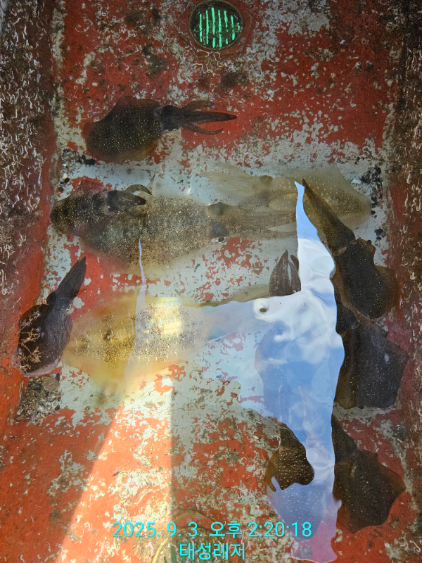 1000067718.jpg