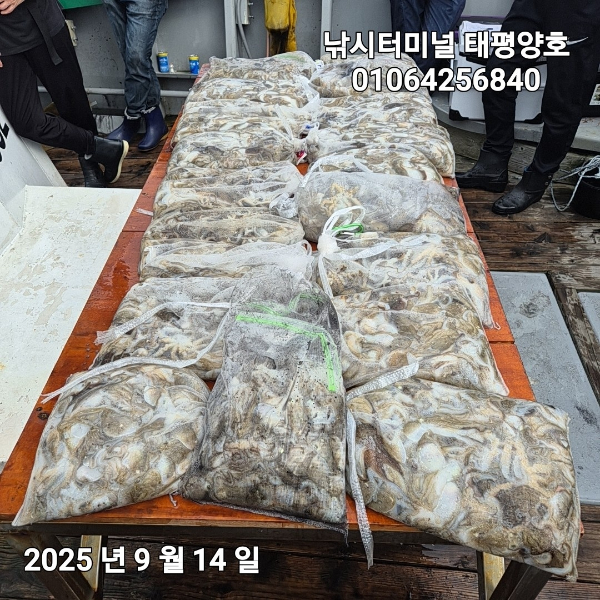 KakaoTalk_20250914_152500953_03.jpg