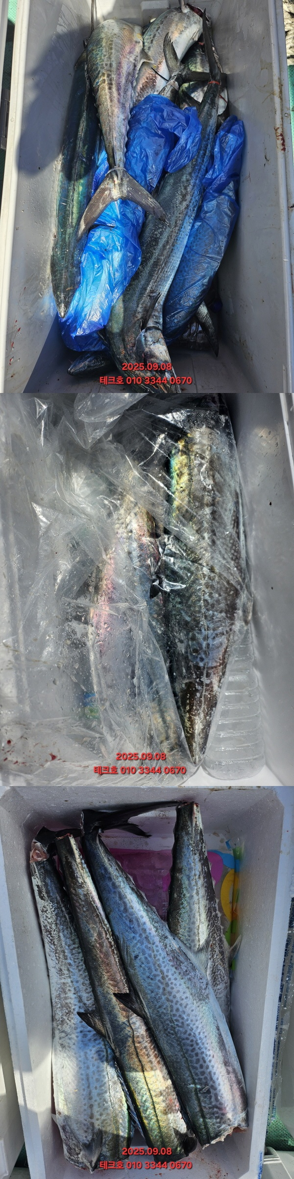 KakaoTalk_20250908_102835940-vert.jpg