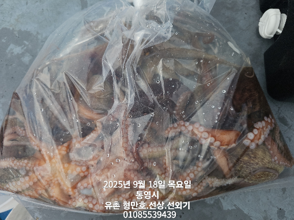 06db0ca0d4249cd19585f30c4e8e9173.jpg