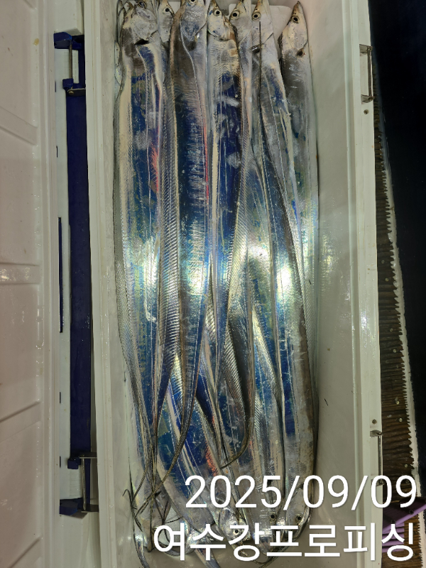 06dd34c5585be286154cce753c1e547c.jpg