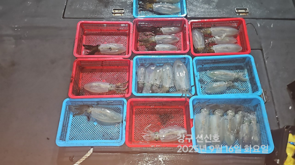 신신낚시 강구점 신신호_사진_20250916_15.jpg