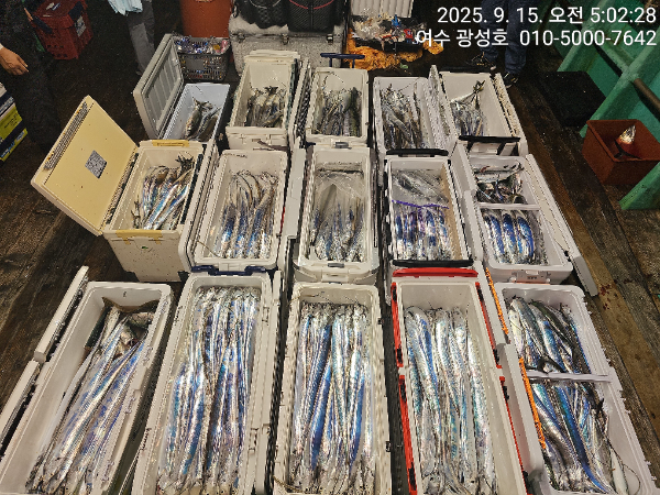 KakaoTalk_20250915_100834010_14.jpg