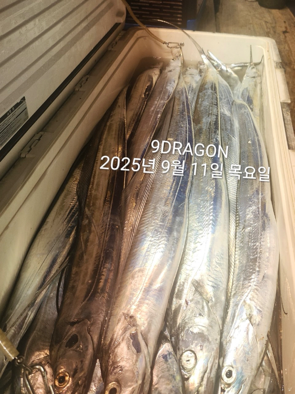 73E564BF-65A7-4BB2-AAAE-703D43C2F762.jpeg