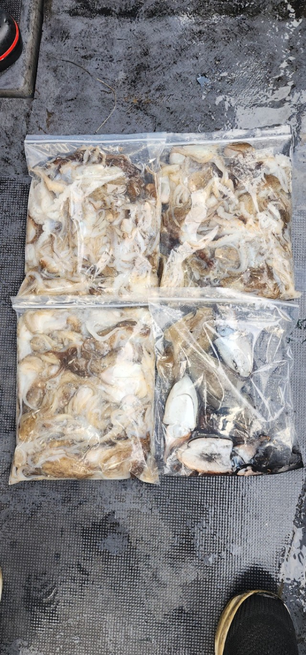 예지퀸호 농어외수질&어초낚시 경기인천권_사진_20250915_10.jpg