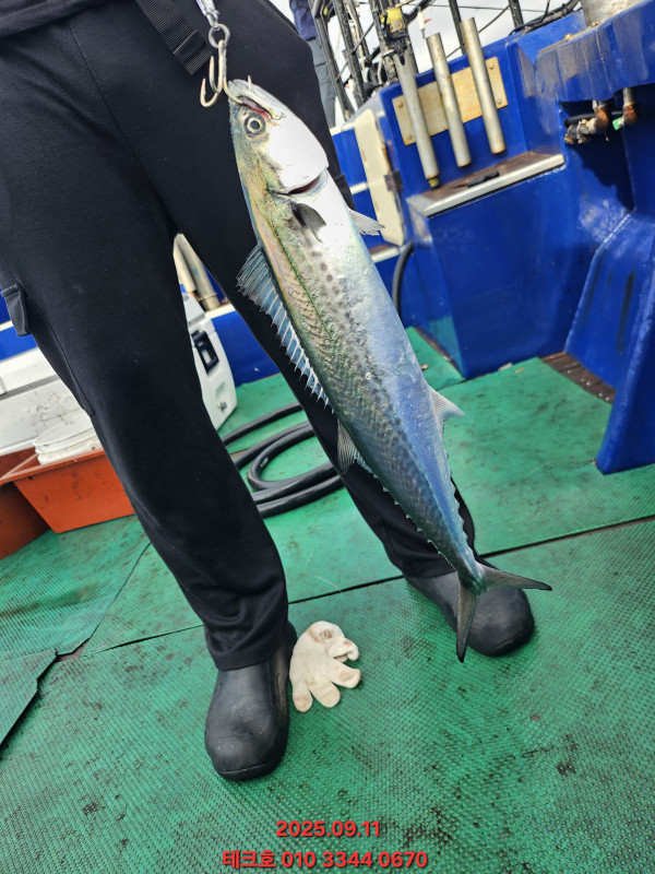 KakaoTalk_20250911_192426394_05.jpg