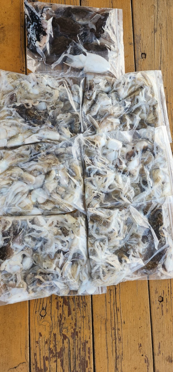 예지퀸호 농어외수질&어초낚시 경기인천권_사진_20250915_11.jpg