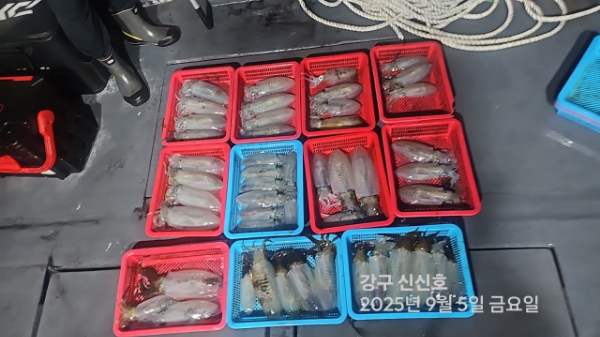 신신낚시 강구점 신신호_사진_20250906_13.jpg