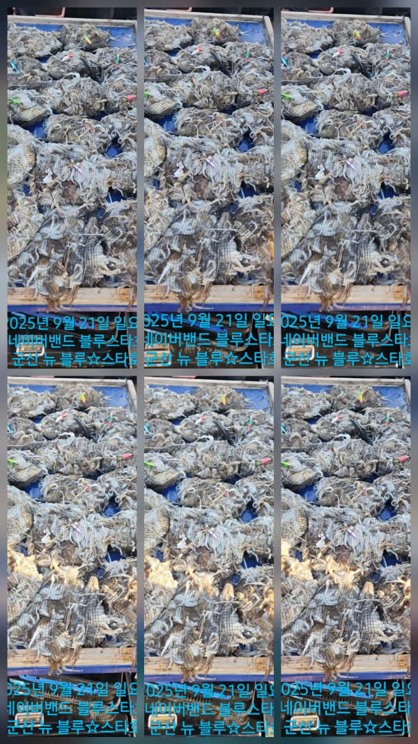1000026436.jpg