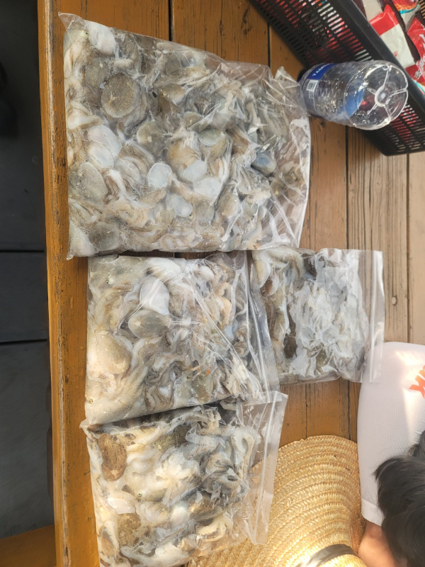 예지퀸호 농어외수질&어초낚시 경기인천권_사진_20250901_4.jpg