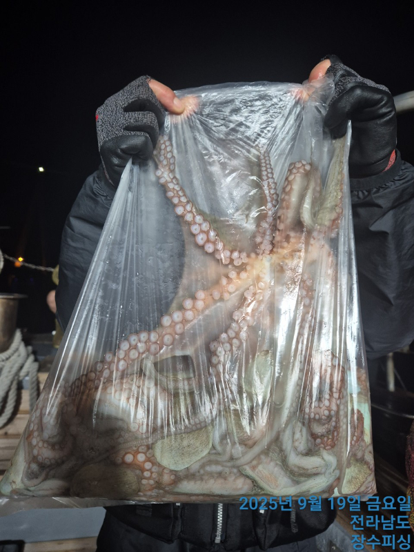 BandPhoto_2025_09_19_17_59_59.jpg