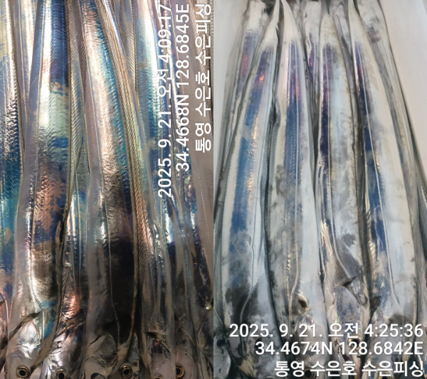 1758403153734-tile.jpg