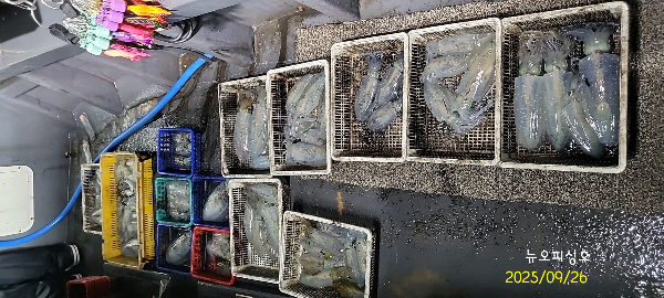 DateCamera0926003655.jpg